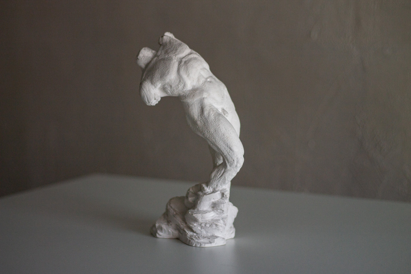 Male Torso