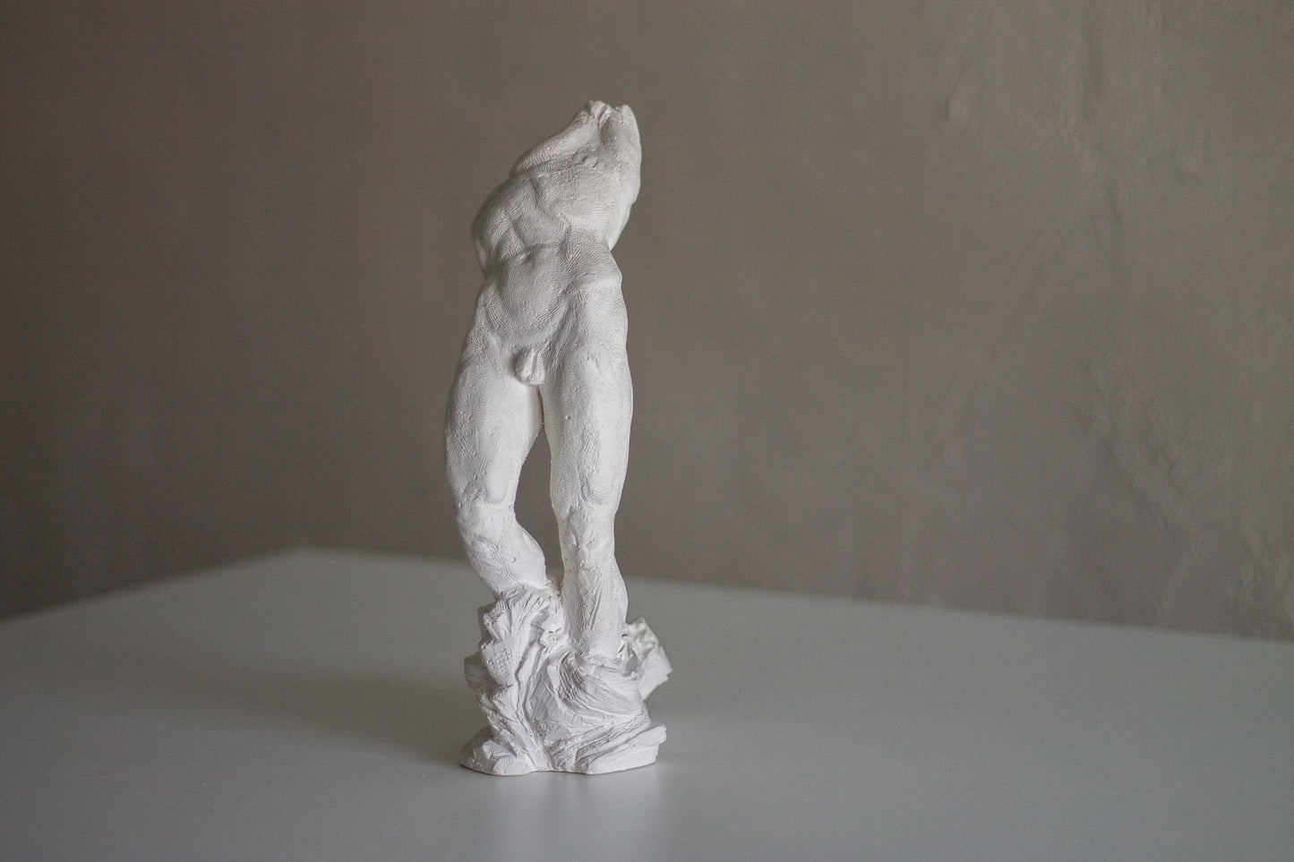 Male Torso