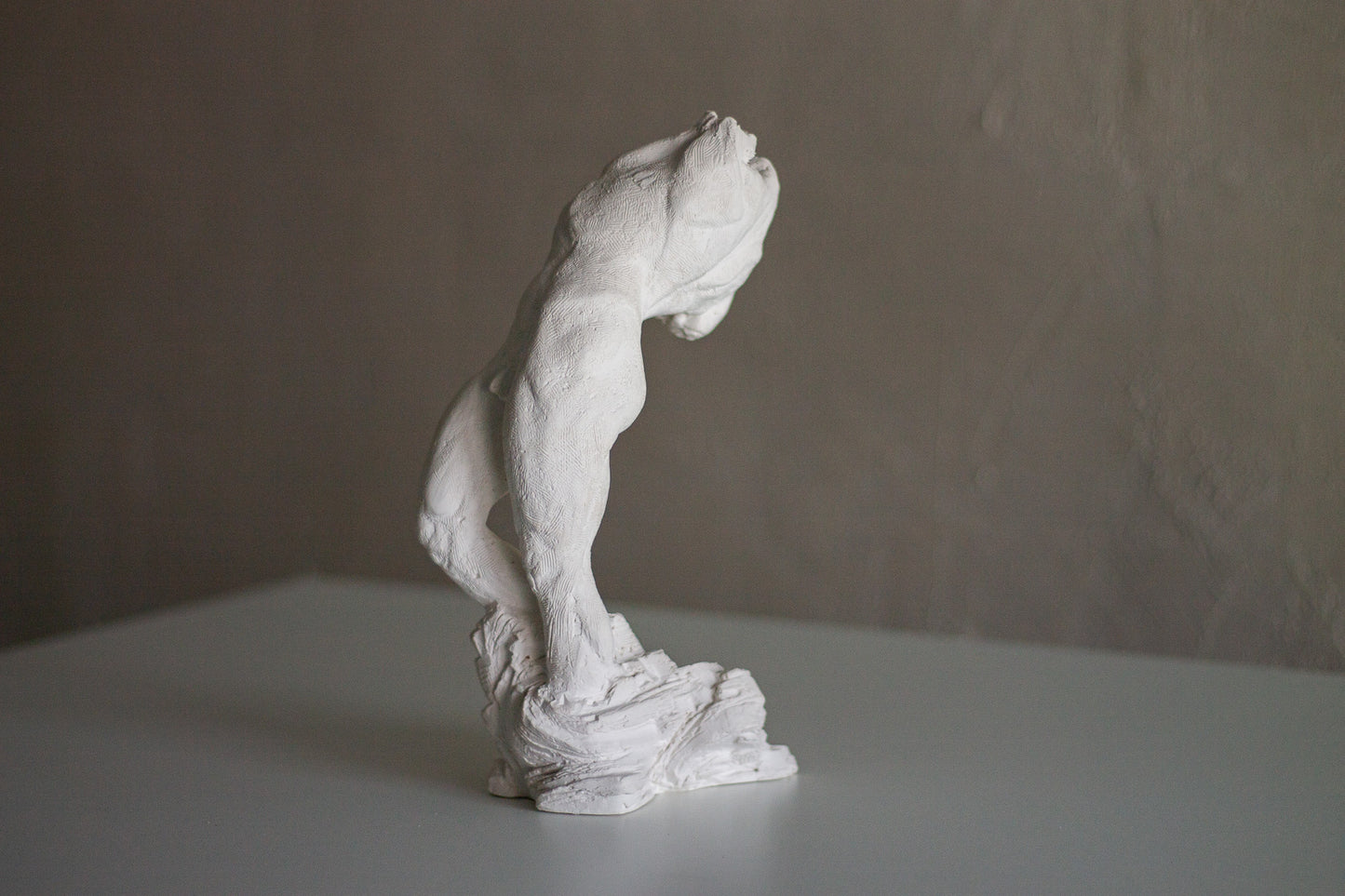 Male Torso