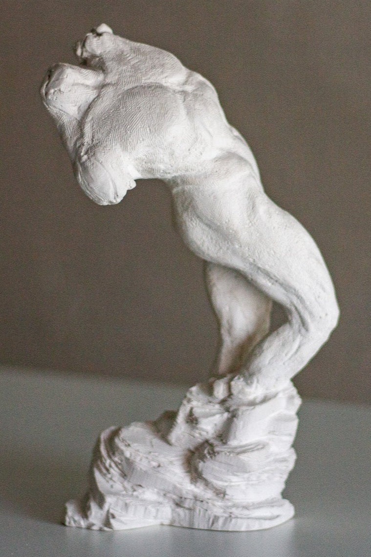 Male Torso