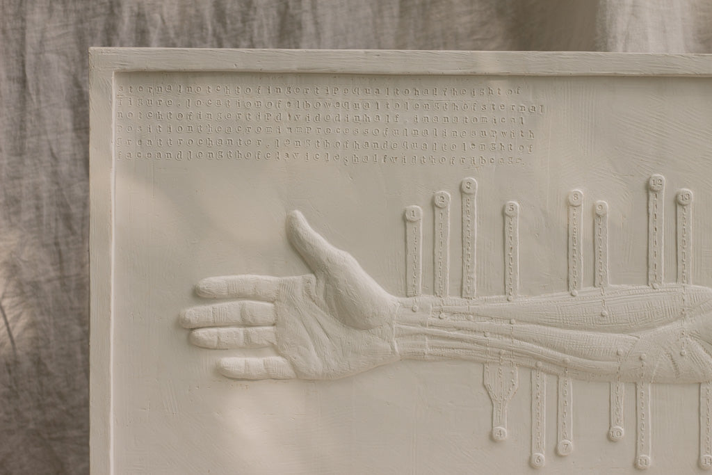 Anatomical Arm- Plaster