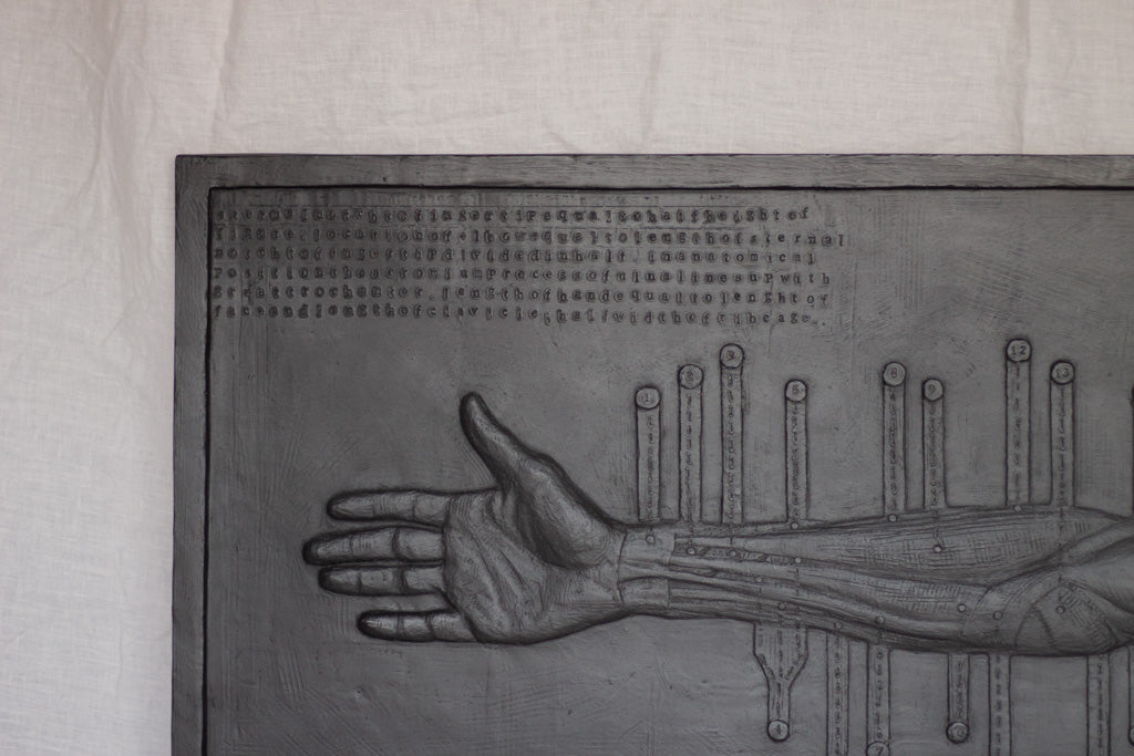 Anatomical Arm- Plaster