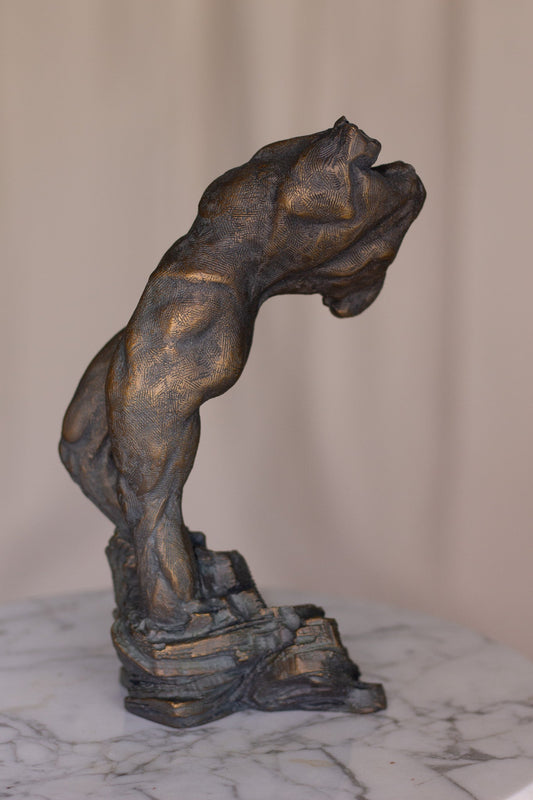 Male Torso- Bronze