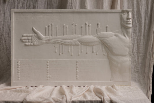 Anatomical Arm- Plaster