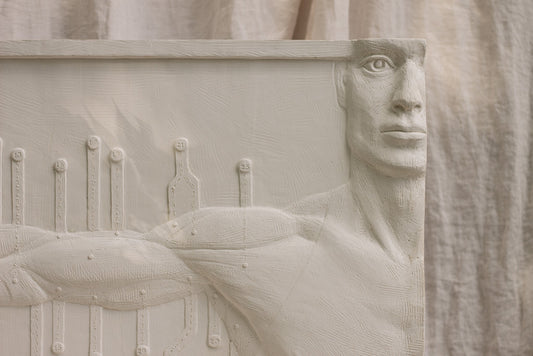 Anatomical Arm- Plaster